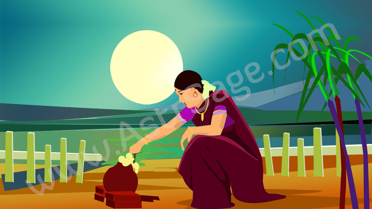 Pongal 2022 Date Thai Pongal Sankranti Time Pongal 2022 Date Thai Pongal Sankranti Time